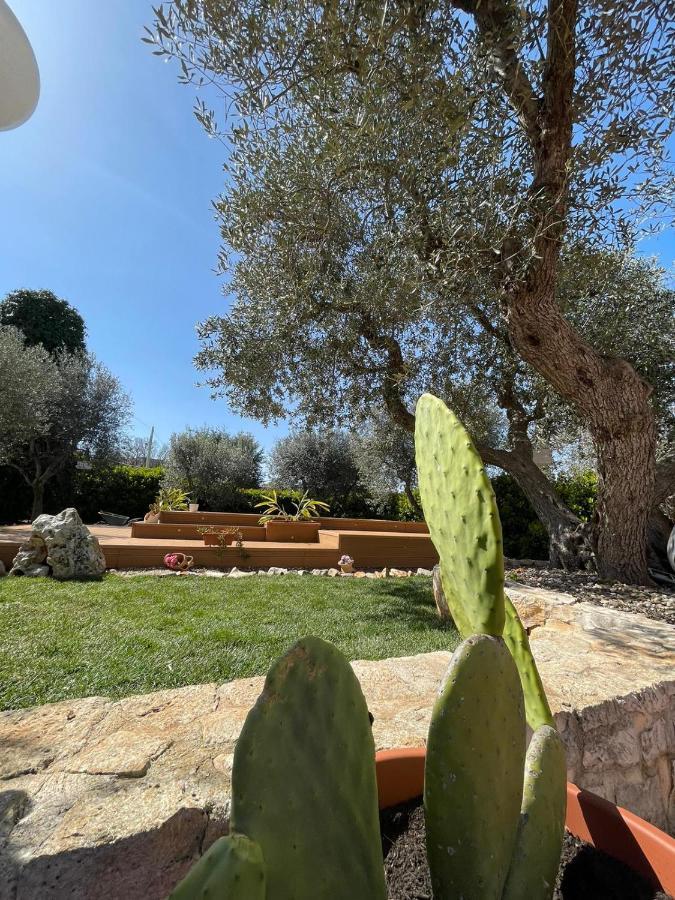 Villa Dama Чистернино Екстериор снимка