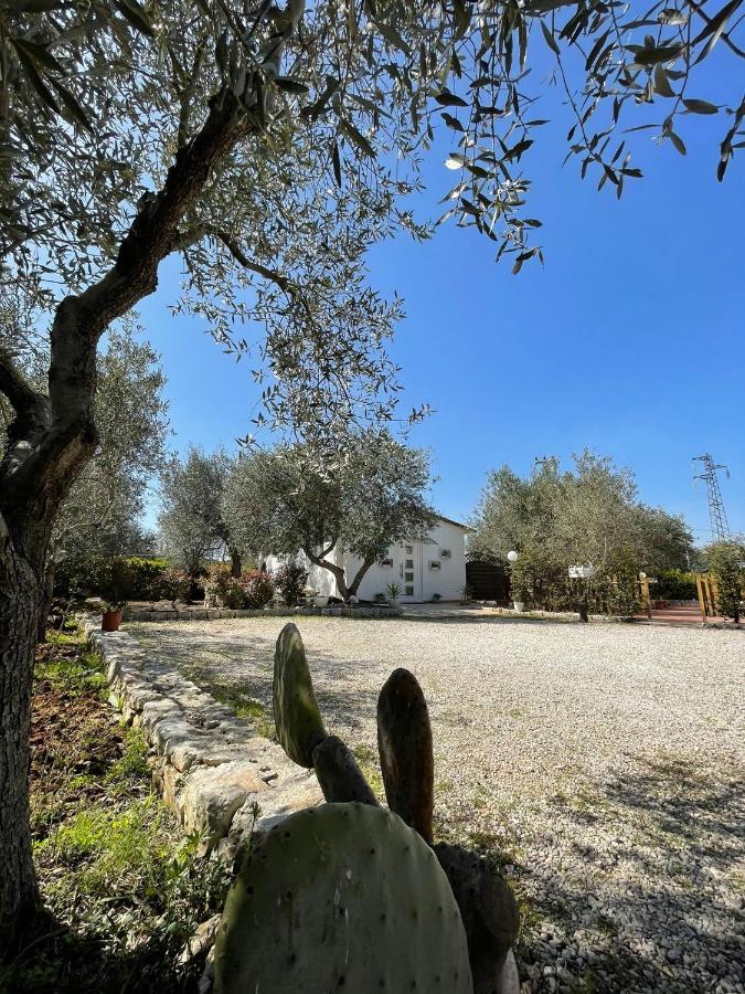 Villa Dama Чистернино Екстериор снимка