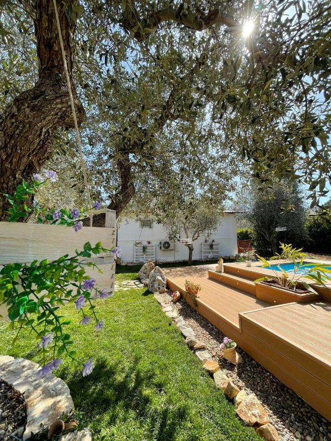 Villa Dama Чистернино Екстериор снимка