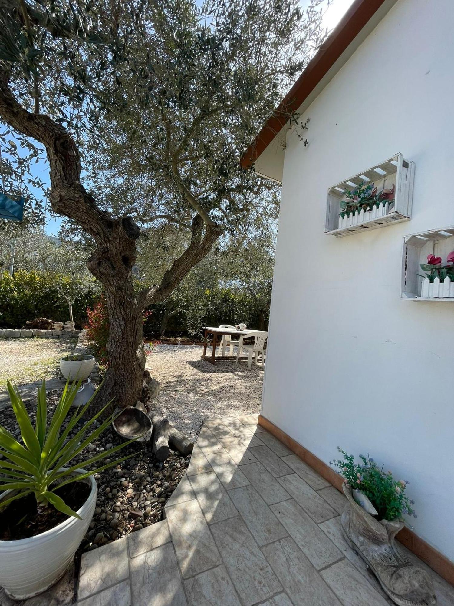 Villa Dama Чистернино Екстериор снимка