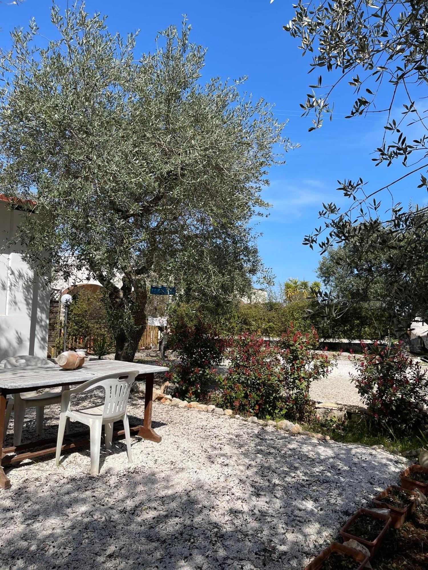 Villa Dama Чистернино Екстериор снимка
